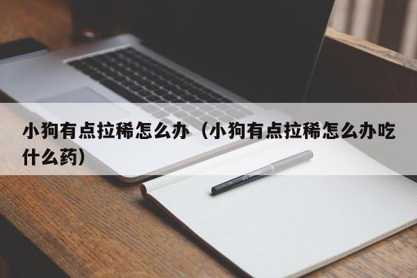 小狗有点拉稀怎么办（小狗有点拉稀怎么办吃什么药）