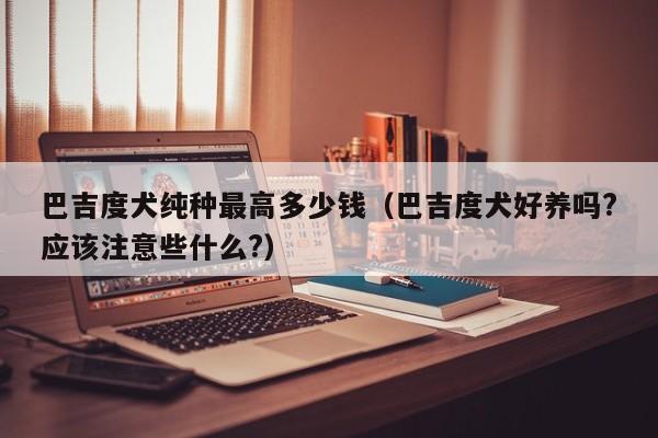 巴吉度犬纯种更高多少钱（巴吉度犬好养吗?应该注意些什么?）