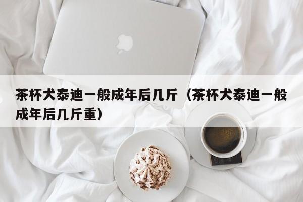 茶杯犬泰迪一般成年后几斤（茶杯犬泰迪一般成年后几斤重）