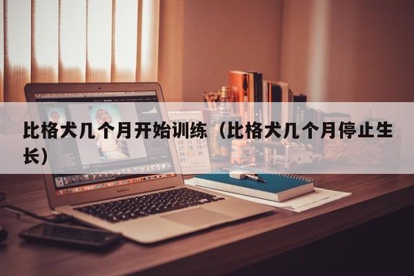 比格犬几个月开始训练（比格犬几个月停止生长）