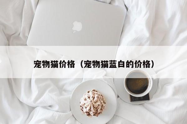 宠物猫价格（宠物猫蓝白的价格）