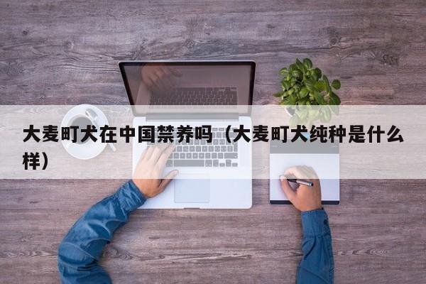 大麦町犬在中国禁养吗（大麦町犬纯种是什么样）