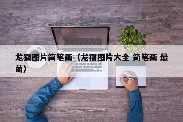 龙猫图片简笔画（龙猫图片大全 简笔画 最萌）