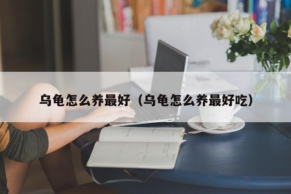 乌龟怎么养更好（乌龟怎么养更好吃）