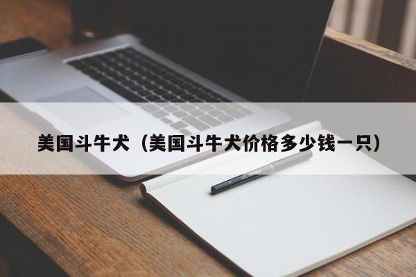 美国斗牛犬（美国斗牛犬价格多少钱一只）