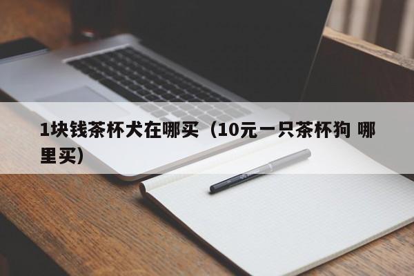 1块钱茶杯犬在哪买（10元一只茶杯狗 哪里买）