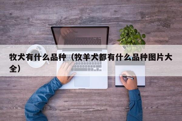 牧犬有什么品种（牧羊犬都有什么品种图片大全）