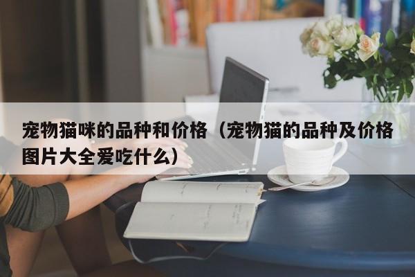 宠物猫咪的品种和价格（宠物猫的品种及价格图片大全爱吃什么）