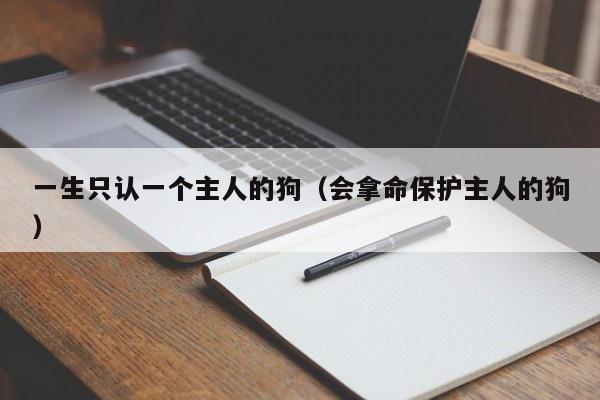 一生只认一个主人的狗（会拿命保护主人的狗）