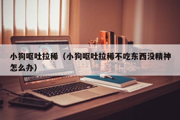 小狗呕吐拉稀（小狗呕吐拉稀不吃东西没精神怎么办）