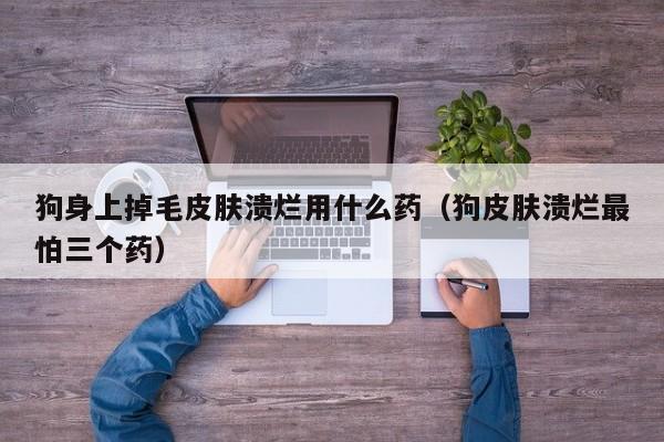 狗身上掉毛皮肤溃烂用什么药（狗皮肤溃烂最怕三个药）