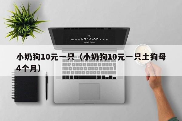 小奶狗10元一只（小奶狗10元一只土狗母4个月）