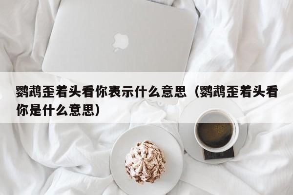 鹦鹉歪着头看你表示什么意思（鹦鹉歪着头看你是什么意思）
