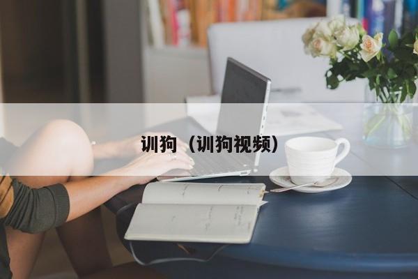 训狗（训狗视频）