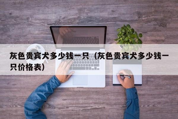 灰色贵宾犬多少钱一只（灰色贵宾犬多少钱一只价格表）