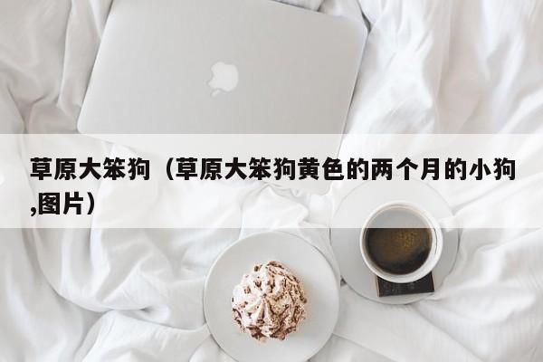 草原大笨狗（草原大笨狗黄色的两个月的小狗,图片）