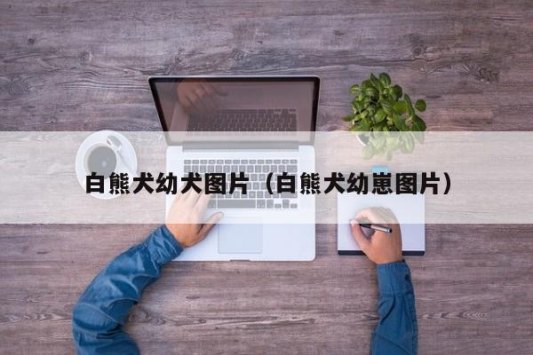 白熊犬幼犬图片（白熊犬幼崽图片）