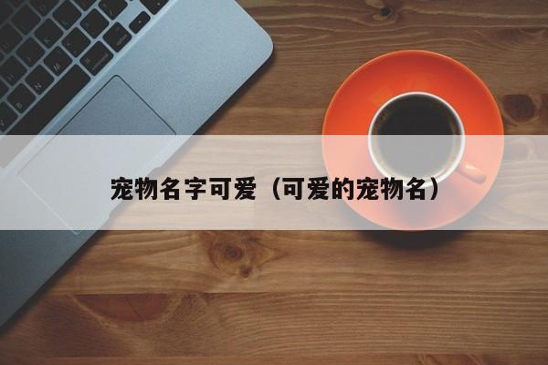 宠物名字可爱（可爱的宠物名）
