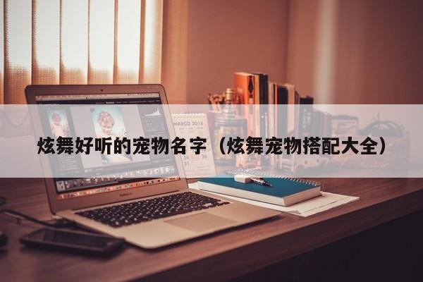 炫舞好听的宠物名字（炫舞宠物搭配大全）