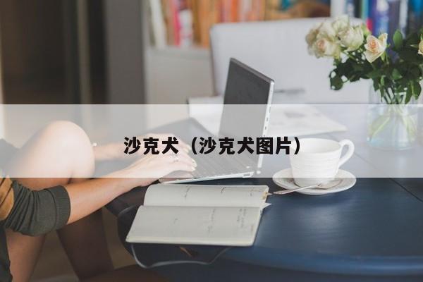 沙克犬（沙克犬图片）