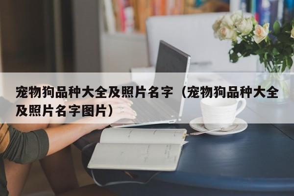 宠物狗品种大全及照片名字（宠物狗品种大全及照片名字图片）
