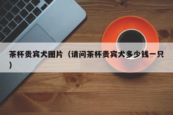 茶杯贵宾犬图片（请问茶杯贵宾犬多少钱一只）