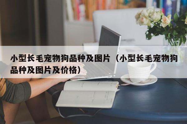 小型长毛宠物狗品种及图片（小型长毛宠物狗品种及图片及价格）
