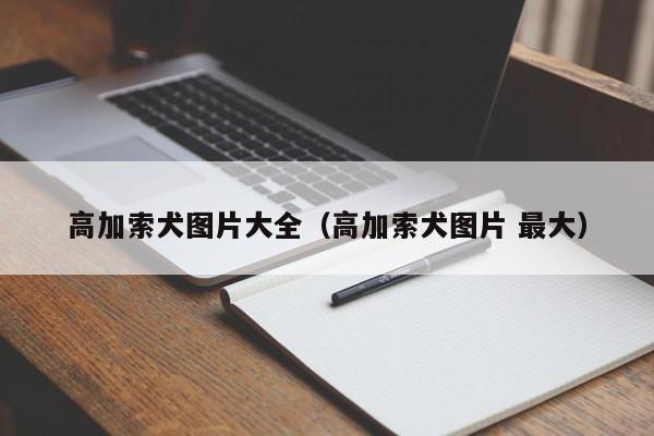 *犬图片大全（*犬图片 更大）