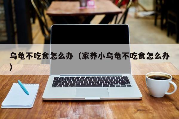 乌龟不吃食怎么办（家养小乌龟不吃食怎么办）