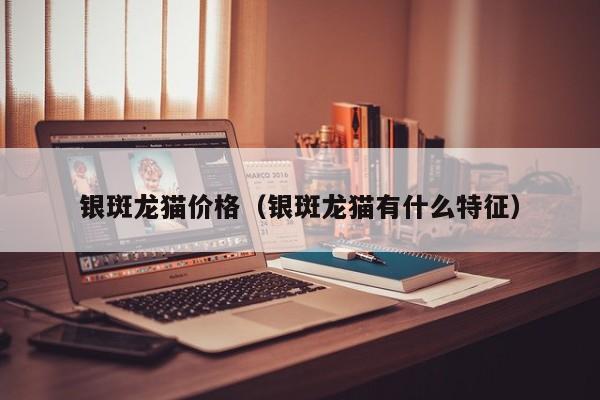 银斑龙猫价格（银斑龙猫有什么特征）