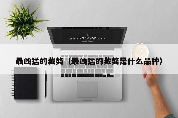 最凶猛的藏獒（最凶猛的藏獒是什么品种）