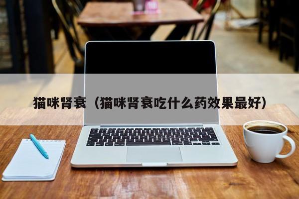 猫咪肾衰（猫咪肾衰吃什么药效果更好）