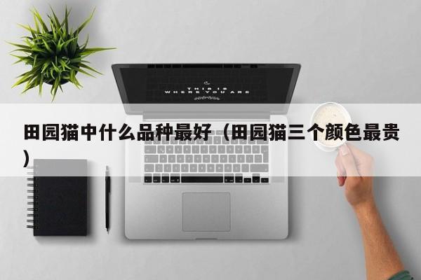 田园猫中什么品种更好（田园猫三个颜色最贵）