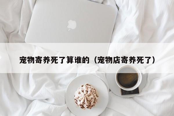 宠物寄养死了算谁的（宠物店寄养死了）