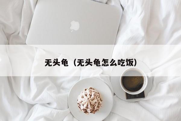 无头龟（无头龟怎么吃饭）