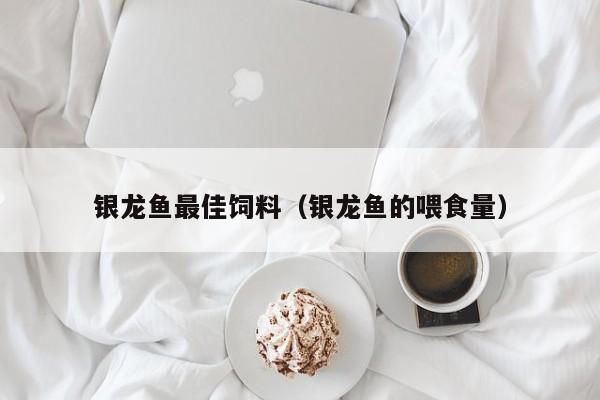 银龙鱼更佳饲料（银龙鱼的喂食量）