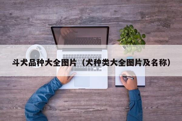 斗犬品种大全图片（犬种类大全图片及名称）
