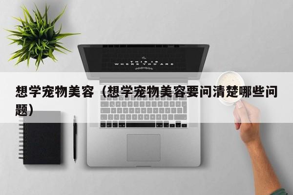 想学宠物美容（想学宠物美容要问清楚哪些问题）