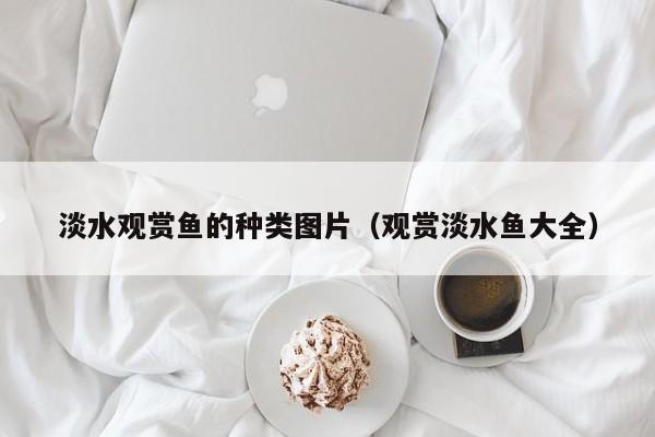 淡水观赏鱼的种类图片（观赏淡水鱼大全）