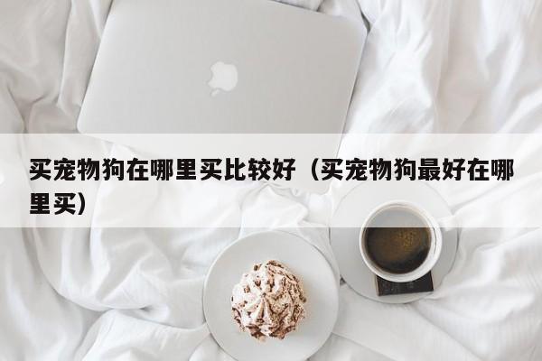买宠物狗在哪里买比较好（买宠物狗更好在哪里买）
