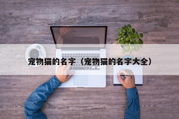 宠物猫的名字（宠物猫的名字大全）