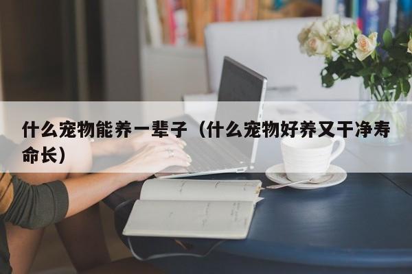 什么宠物能养一辈子（什么宠物好养又干净寿命长）