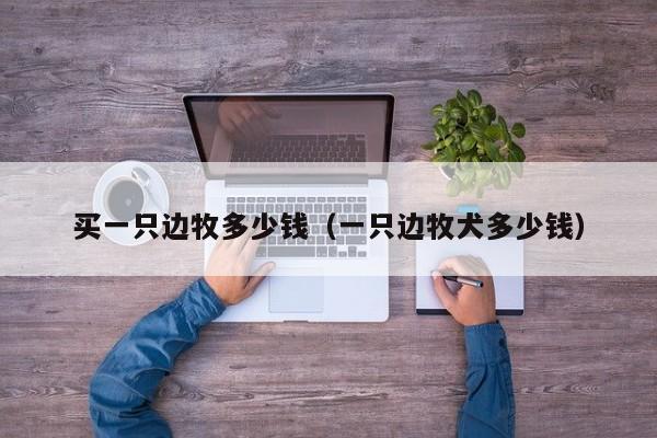 买一只边牧多少钱（一只边牧犬多少钱）