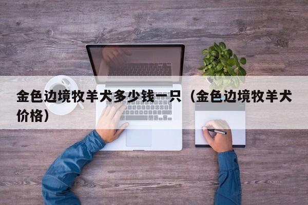 金色边境牧羊犬多少钱一只（金色边境牧羊犬价格）