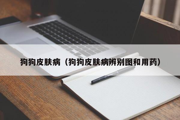 狗狗皮肤病（狗狗皮肤病辨别图和用药）
