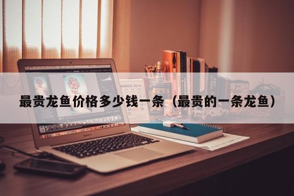 最贵龙鱼价格多少钱一条（最贵的一条龙鱼）
