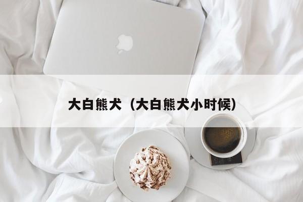 大白熊犬（大白熊犬小时候）