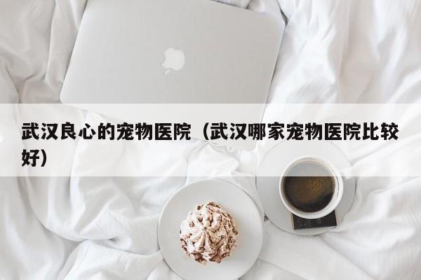 武汉良心的宠物医院（武汉哪家宠物医院比较好）