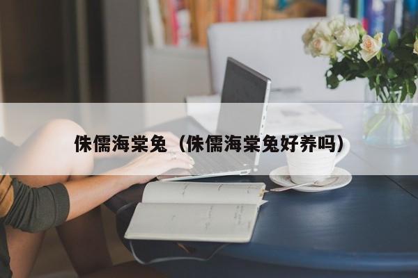 侏儒海棠兔（侏儒海棠兔好养吗）
