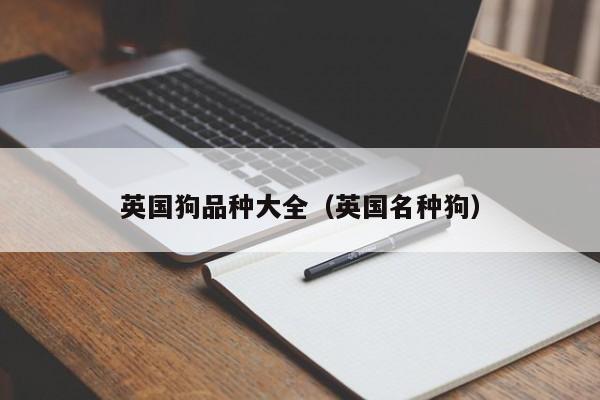 英国狗品种大全（英国名种狗）